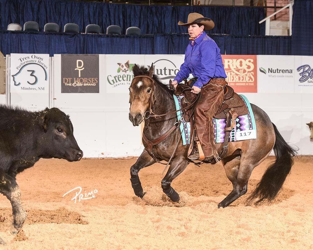 Female Horse Rider